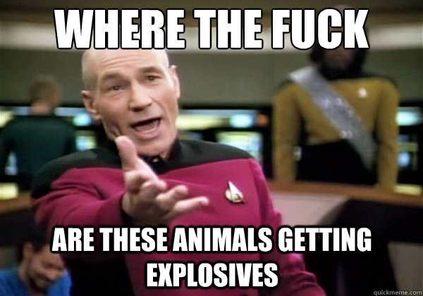 Where the fuck are these animals getting explosives  Why The Fuck Picard