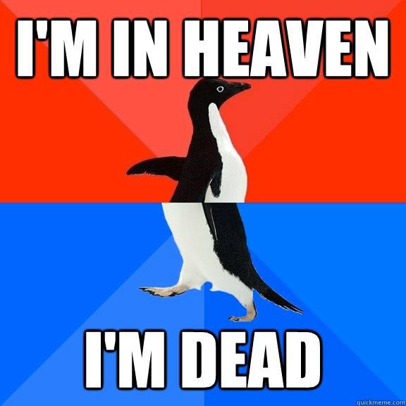 i'm in heaven i'm dead  Socially Awesome Awkward Penguin