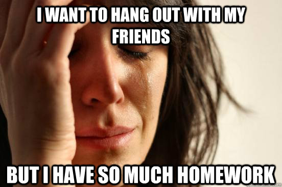 I want to hang out with my friends But I have so much homework   First World Problems