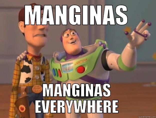 MANGINAS MANGINAS EVERYWHERE Toy Story