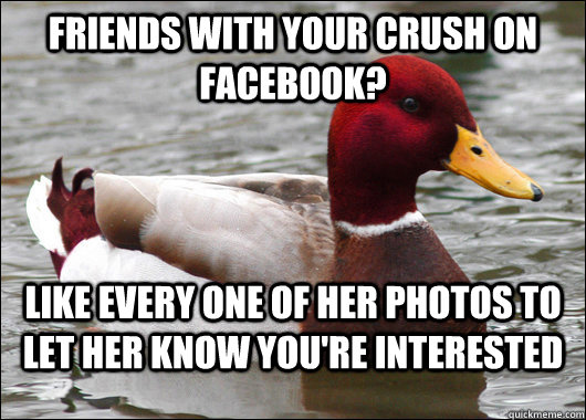 Friends with your crush on Facebook? Like every one of her photos to let her know you're interested  Malicious Advice Mallard