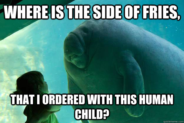 Where is the side of fries, that i ordered with this human child? - Where is the side of fries, that i ordered with this human child?  Overlord Manatee