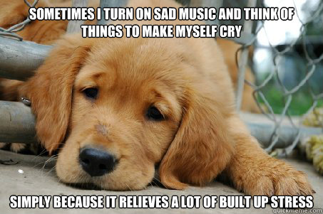 Sometimes I turn on sad music and think of things to make myself cry simply because it relieves a lot of built up stress  Confession Bear