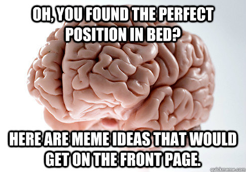 Oh, you found the perfect position in bed? Here are meme ideas that would get on the front page.   Scumbag Brain