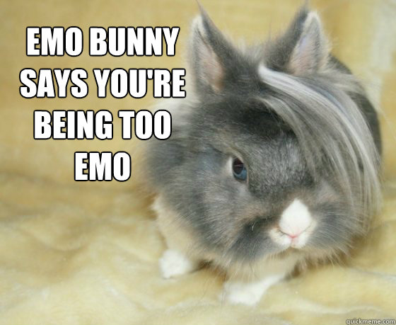 emo bunny says you're being too emo  