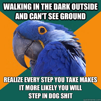 Walking in the dark outside and can't see ground realize every step you take makes it more likely you will 
step in dog shit  Paranoid Parrot