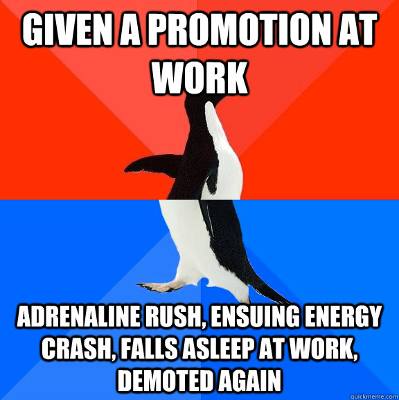 given a promotion at work adrenaline rush, ensuing energy crash, falls asleep at work, demoted again  Socially Awesome Awkward Penguin