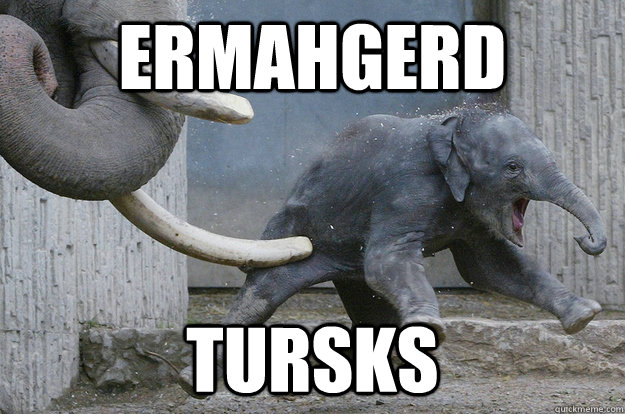 ermahgerd TURSKS - ermahgerd TURSKS  ermahgerd elephant