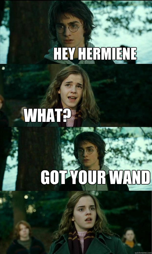 hey hermiene what? got your wand  Horny Harry