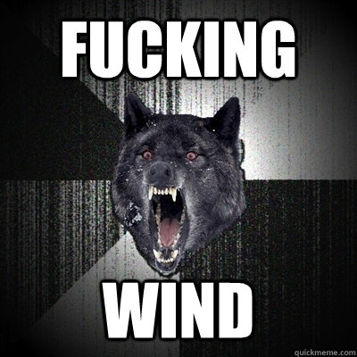 FUCKING WIND  Bullets - Insanity wolf