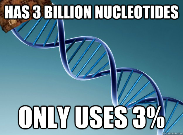 has 3 Billion Nucleotides  only uses 3% - has 3 Billion Nucleotides  only uses 3%  Scumbag Genetics