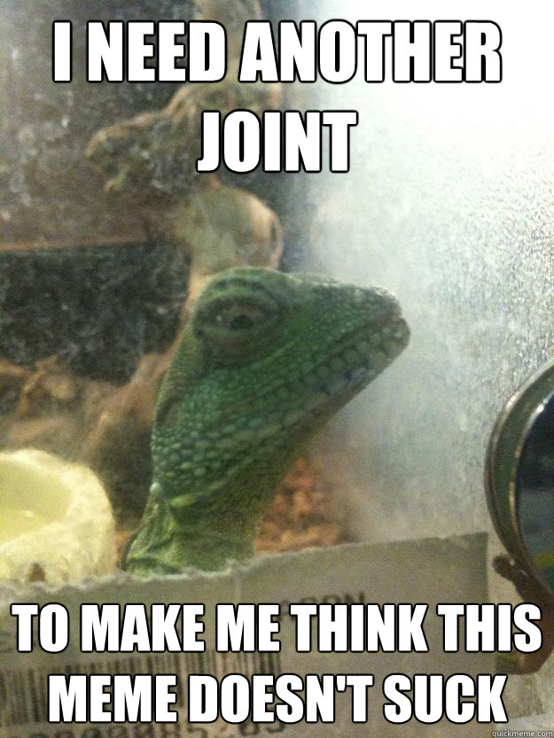 i need another joint to make me think this meme doesn't suck  