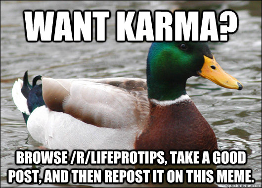 Want Karma? Browse /r/LifeProTips, take a good post, and then repost it on this meme. - Want Karma? Browse /r/LifeProTips, take a good post, and then repost it on this meme.  Actual Advice Mallard