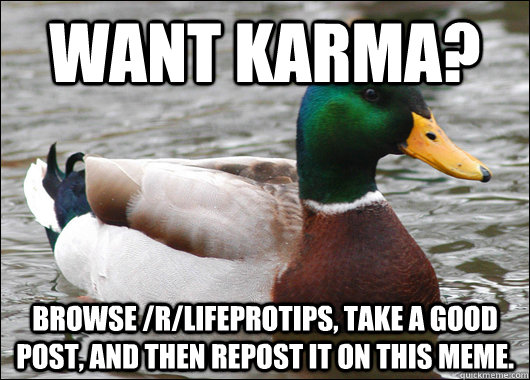 Want Karma? Browse /r/LifeProTips, take a good post, and then repost it on this meme.  Actual Advice Mallard