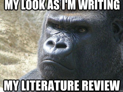 my look as i'm writing my Literature review - my look as i'm writing my Literature review  Grumpy Gorilla