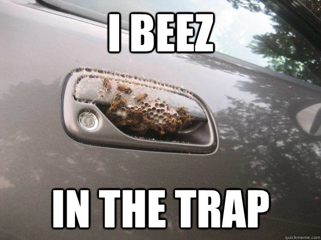 i beez in the trap - i beez in the trap  beez in the trap