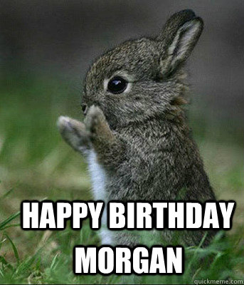 HAPPY BIRTHDAY  MOrgan  Cute bunny