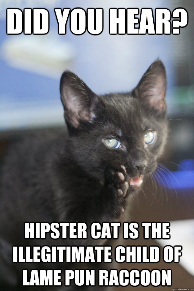 Did you hear? Hipster cat is the illegitimate child of lame pun raccoon  - Did you hear? Hipster cat is the illegitimate child of lame pun raccoon   Gossip Cat