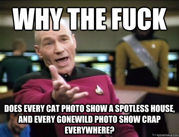 Why the fuck does every cat photo show a spotless house, and every gonewild photo show crap everywhere?  Annoyed Picard HD