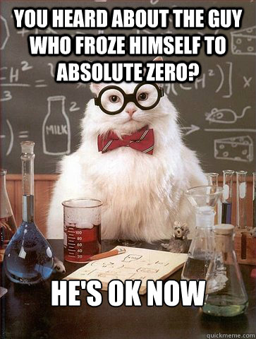 You heard about the guy who froze himself to absolute zero? He's 0k now  Science Cat