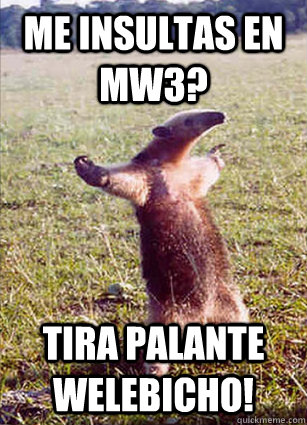 Me insultas en mw3? tira palante welebicho!  Defiace Anteater