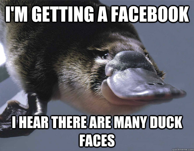 I'm getting a facebook I hear there are many duck faces  Platypus