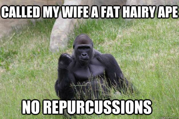 Called my wife a fat hairy ape no repurcussions - Called my wife a fat hairy ape no repurcussions  Success Gorilla