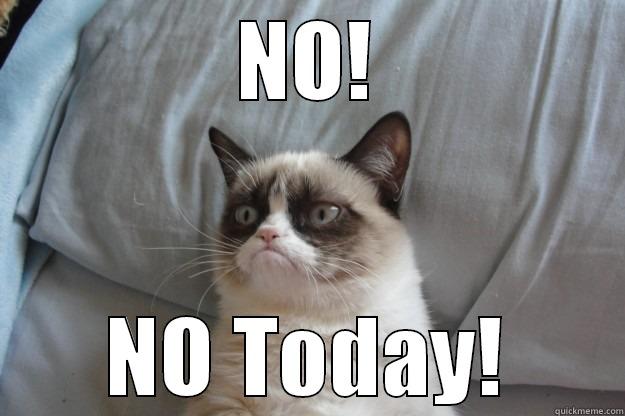 NO! NO TODAY! Grumpy Cat