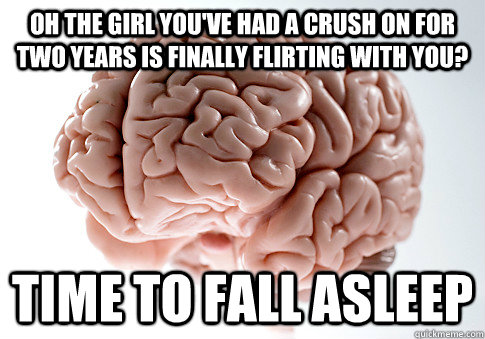 Oh the Girl you've had a crush on for two years is finally flirting with you? Time to fall asleep  ScumbagBrain
