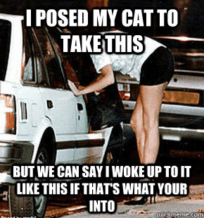 I posed my cat to take this But we can say I woke up to it like this if that's what your into - I posed my cat to take this But we can say I woke up to it like this if that's what your into  FB karma whore