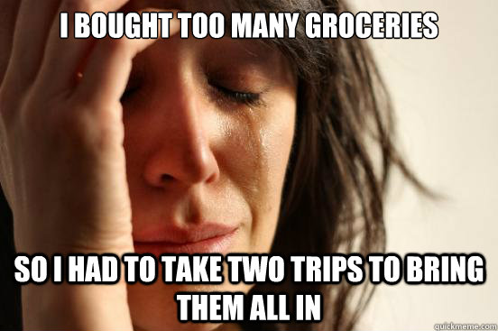 I bought too many groceries so I had to take two trips to bring them all in  First World Problems