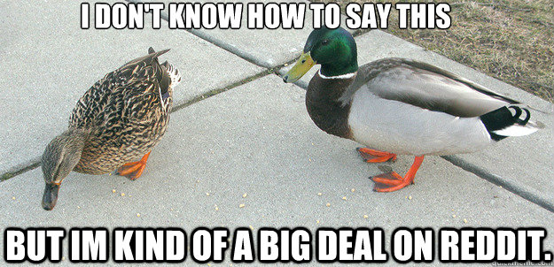 i don't know how to say this
 but im kind of a big deal on reddit. - i don't know how to say this
 but im kind of a big deal on reddit.  Actual Advice Duck