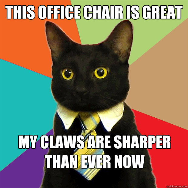This office chair is great My claws are sharper than ever now  Business Cat
