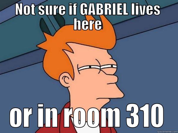 NOT SURE IF GABRIEL LIVES HERE OR IN ROOM 310 Futurama Fry