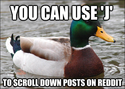 you can use 'j' to scroll down posts on reddit  Actual Advice Mallard