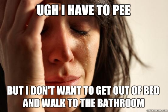 Ugh I have to pee But I don't want to get out of bed and walk to the bathroom  First World Problems