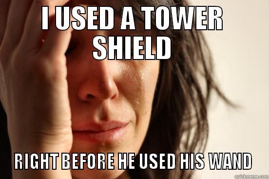 I USED A TOWER SHIELD RIGHT BEFORE HE USED HIS WAND First World Problems