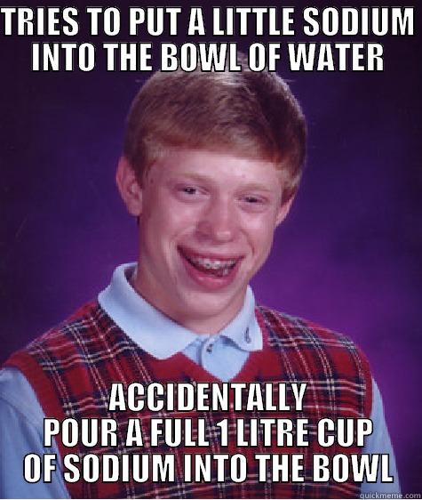 This will create a big explosion!!! - TRIES TO PUT A LITTLE SODIUM INTO THE BOWL OF WATER ACCIDENTALLY POUR A FULL 1 LITRE CUP OF SODIUM INTO THE BOWL Bad Luck Brian