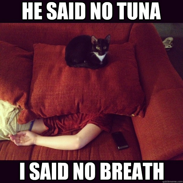 He said no tuna  i said no breath  jealous cat