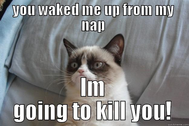 grumpy dose not like being waked up from naps   - YOU WAKED ME UP FROM MY NAP IM GOING TO KILL YOU! Grumpy Cat