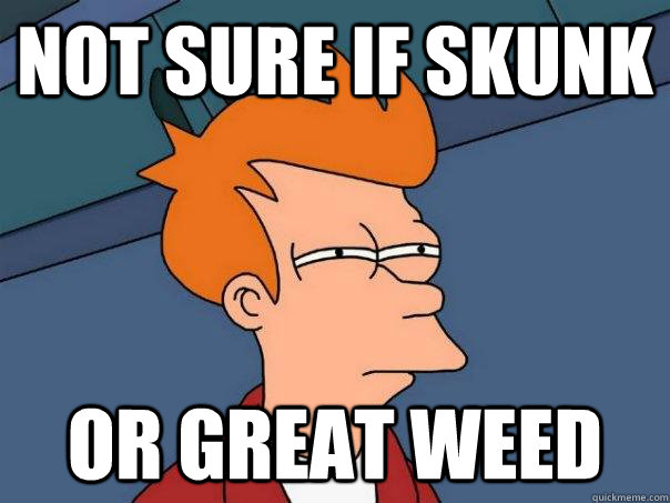 Not sure if skunk  Or great weed  Futurama Fry