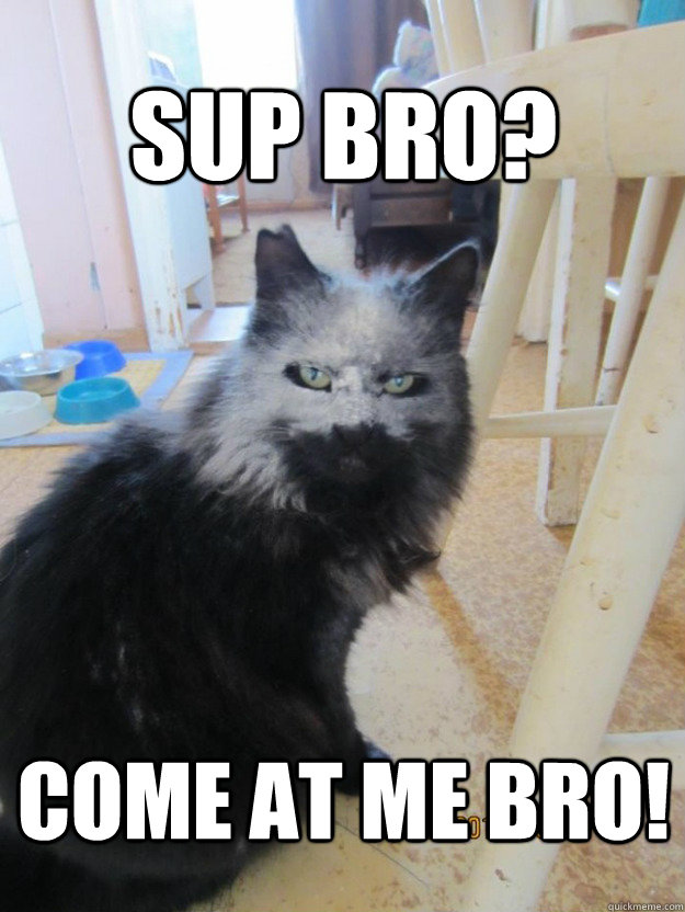 Sup Bro? come at me bro! - Sup Bro? come at me bro!  Misc
