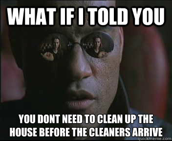 What if I told you you dont need to clean up the house before the cleaners arrive  Morpheus SC