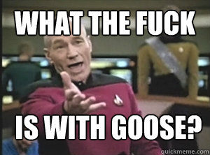 What the fuck is with Goose?  Annoyed Picard