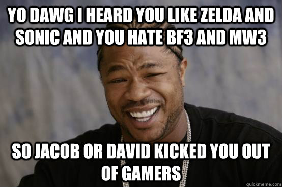 yo dawg i heard you like zelda and sonic and you hate bf3 and mw3 so jacob or david kicked you out of gamers  YO DAWG