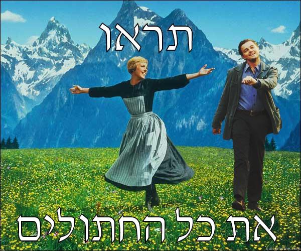 תראו את כל החתולים Misc