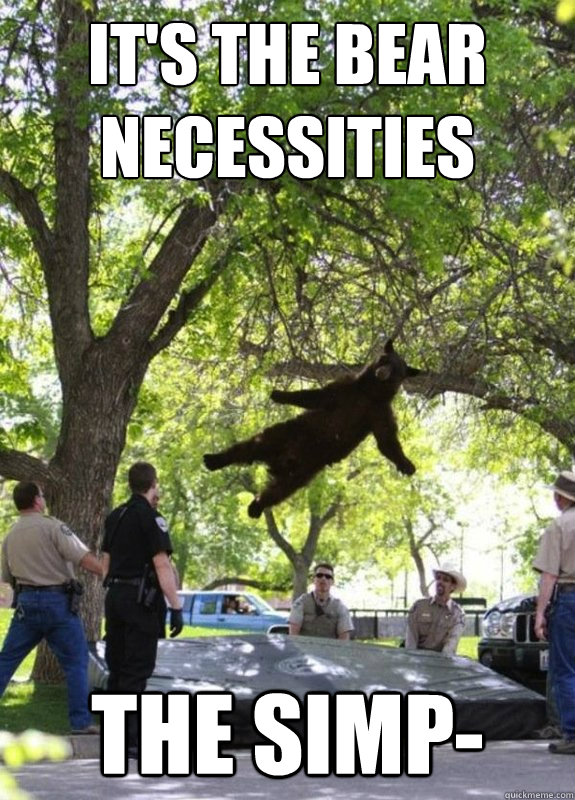 it's the bear necessities the simp- - it's the bear necessities the simp-  Tranquilized Bear