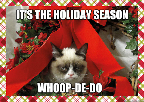 It's the holiday season whoop-de-do  merry christmas