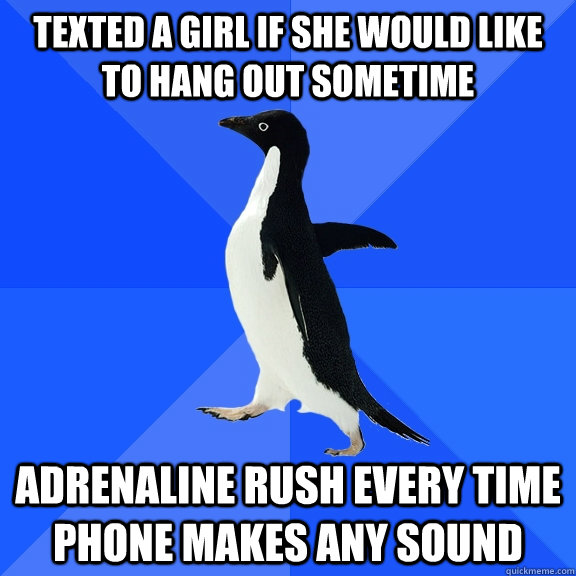 texted a girl if she would like to hang out sometime adrenaline rush every time phone makes any sound  Socially Awkward Penguin