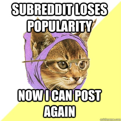 Subreddit loses popularity now i can post again - Subreddit loses popularity now i can post again  Hipster Kitty